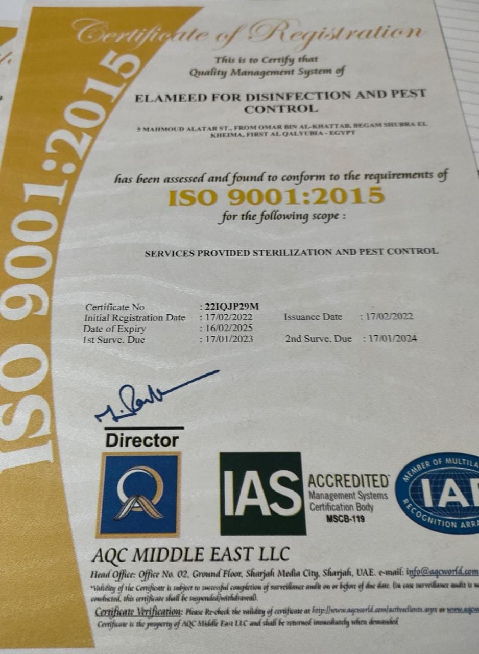 WhatsApp Image 2026-02-18 at 5.25.00 PM